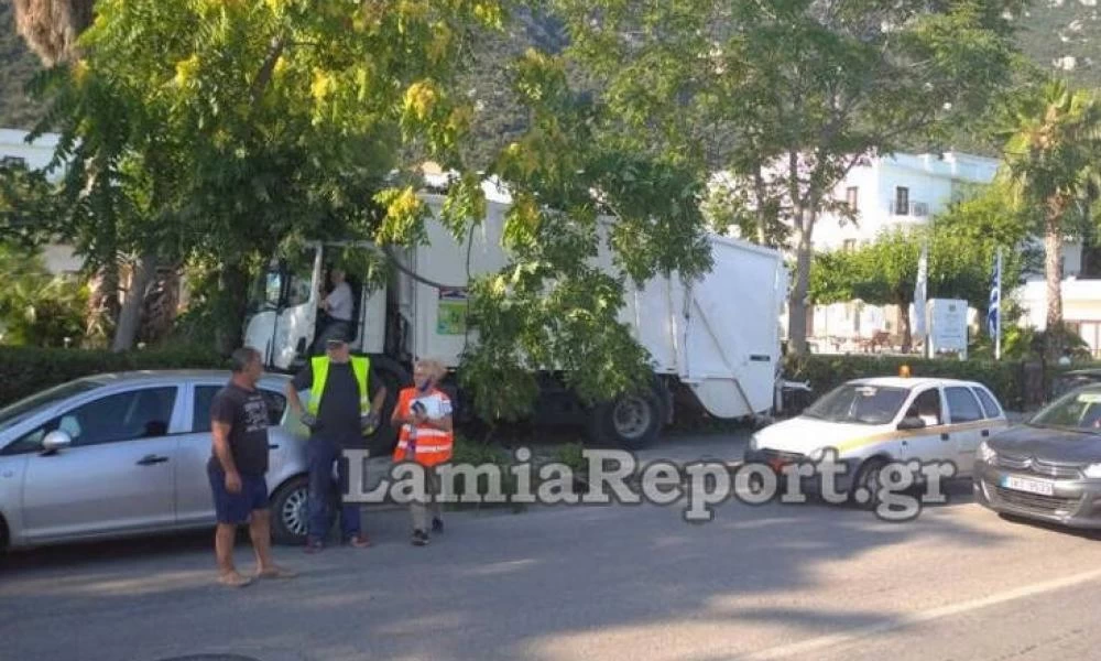 Καμένα Βούρλα: Σφήκα τσίμπησε οδηγό απορριμματοφόρου και λιποθύμησε